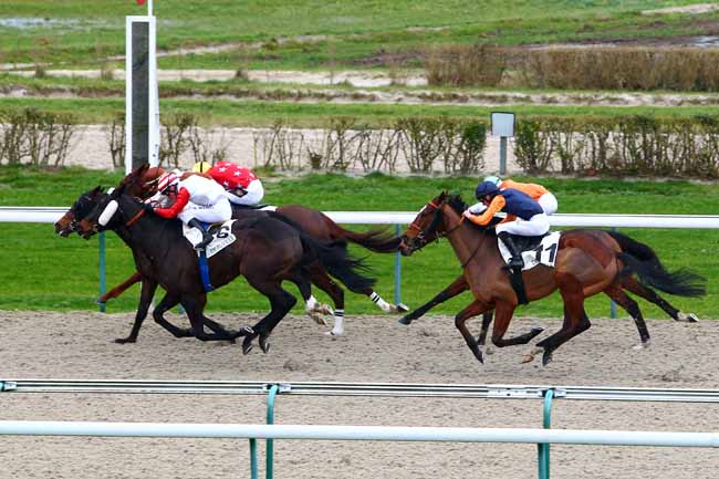Photo d'arrivée de la course pmu PRIX DU BOCAGE ORNAIS à DEAUVILLE MIDI le Vendredi 5 janvier 2018