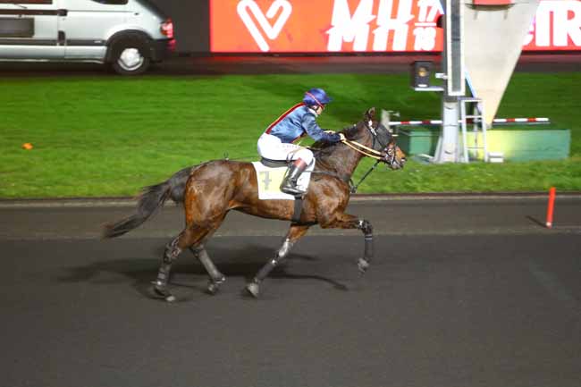 Photo d'arrivée de la course pmu PRIX DE MAROLLES à PARIS-VINCENNES le Samedi 6 janvier 2018