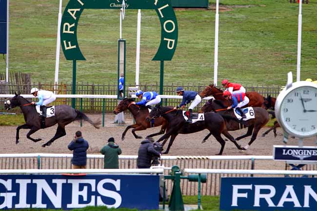 Photo d'arrivée de la course pmu PRIX DELMONTE à CHANTILLY le Samedi 6 janvier 2018