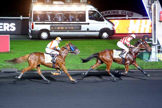 Photo d'arrivée de la course pmu PRIX DE NALLIERS à PARIS-VINCENNES le Dimanche 7 janvier 2018