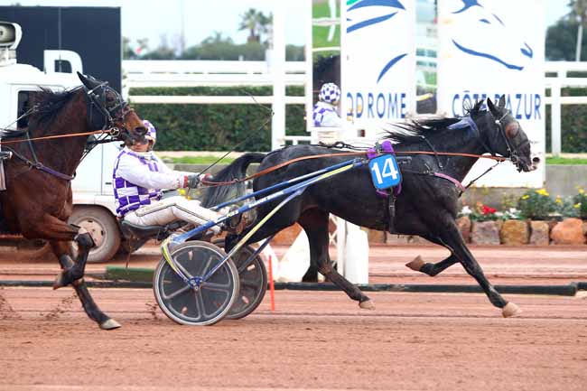 Photo d'arrivée de la course pmu PRIX FANDANGO à CAGNES-SUR-MER le Mercredi 10 janvier 2018