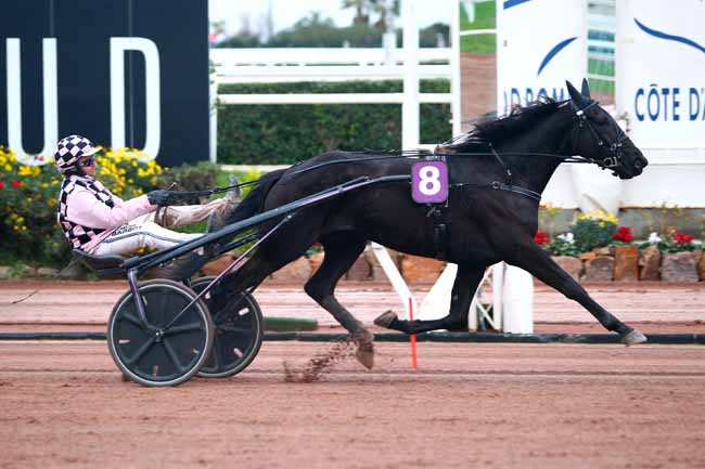 Photo d'arrivée de la course pmu PRIX DE LA COTE SAINT-ANDRE à CAGNES-SUR-MER le Mercredi 10 janvier 2018