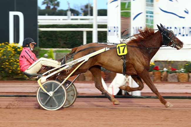 Photo d'arrivée de la course pmu PRIX DE LA COTE VERMEILLE à CAGNES-SUR-MER le Mercredi 10 janvier 2018