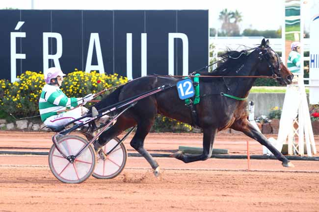 Photo d'arrivée de la course pmu PRIX DE CAGNES-SUR-MER à CAGNES-SUR-MER le Jeudi 11 janvier 2018