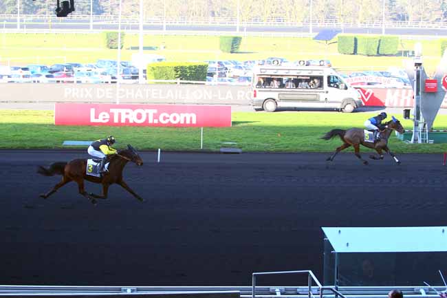 Photo d'arrivée de la course pmu PRIX DE CHATELAILLON-LA ROCHELLE à PARIS-VINCENNES le Dimanche 14 janvier 2018