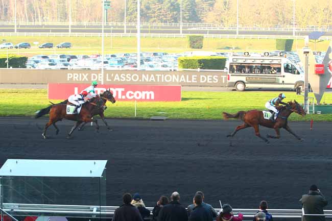 Photo d'arrivée de la course pmu PRIX DE L'ASSOCIATION NATIONALE DES TURFISTES à PARIS-VINCENNES le Dimanche 14 janvier 2018