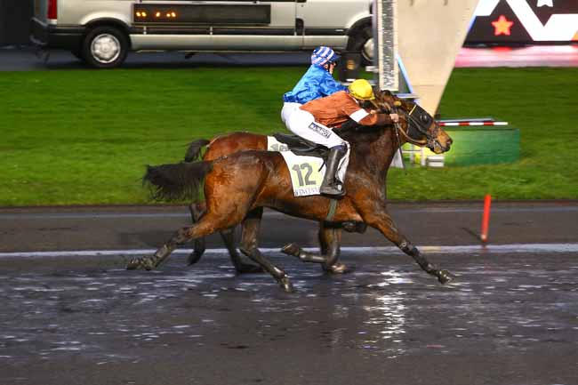 Photo d'arrivée de la course pmu PRIX DE CHERBOURG à PARIS-VINCENNES le Lundi 15 janvier 2018