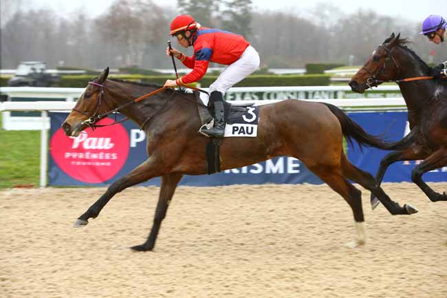 Photo d'arrivée de la course pmu PRIX DE MOMAS à PAU le Mardi 16 janvier 2018
