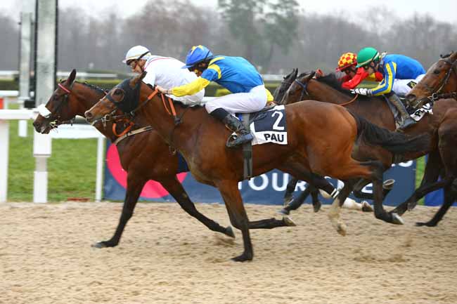 Photo d'arrivée de la course pmu PRIX BELLABRE à PAU le Mardi 16 janvier 2018