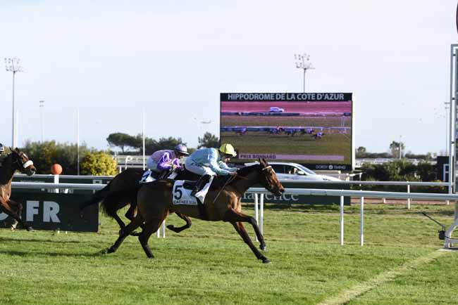 Photo d'arrivée de la course pmu PRIX BONNARD à CAGNES-SUR-MER le Vendredi 19 janvier 2018