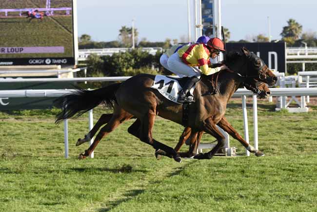 Photo d'arrivée de la course pmu PRIX DE TOURETTES-SUR-LOUP à CAGNES-SUR-MER le Vendredi 19 janvier 2018
