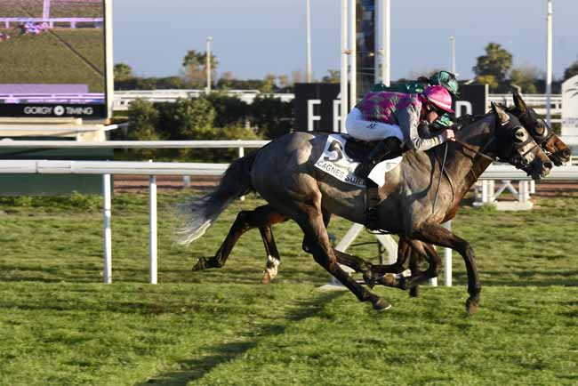 Photo d'arrivée de la course pmu PRIX DU COL DE VENCE à CAGNES-SUR-MER le Vendredi 19 janvier 2018
