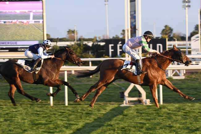 Photo d'arrivée de la course pmu PRIX JEAN-GABRIEL DOMERGUE à CAGNES-SUR-MER le Vendredi 19 janvier 2018
