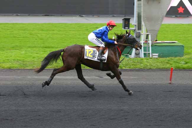 Photo d'arrivée de la course pmu PRIX D'AUFFAY à PARIS-VINCENNES le Vendredi 19 janvier 2018