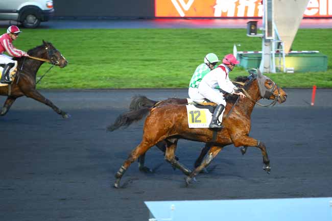 Photo d'arrivée de la course pmu PRIX DE LA FERTE-BERNARD à PARIS-VINCENNES le Vendredi 19 janvier 2018