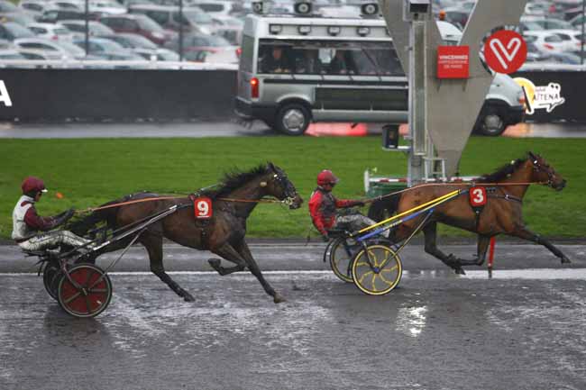 Photo d'arrivée de la course pmu PRIX DE MIRANDE à PARIS-VINCENNES le Dimanche 21 janvier 2018