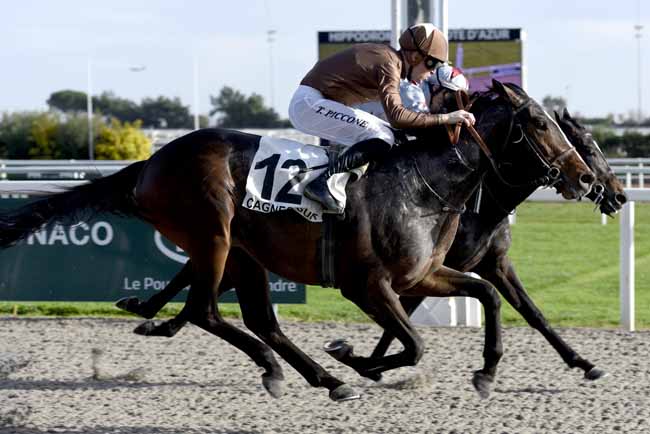 Photo d'arrivée de la course pmu PRIX DES CITRONNIERS à CAGNES-SUR-MER le Lundi 22 janvier 2018