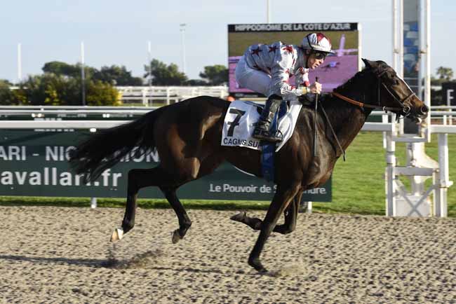 Photo d'arrivée de la course pmu PRIX DES ORANGERS à CAGNES-SUR-MER le Lundi 22 janvier 2018