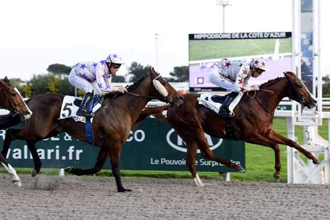 Photo d'arrivée de la course pmu PRIX DES OLIVIERS à CAGNES-SUR-MER le Lundi 22 janvier 2018