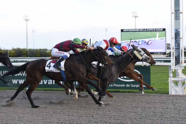 Photo d'arrivée de la course pmu PRIX DU ROUSSILLON à CAGNES-SUR-MER le Lundi 22 janvier 2018