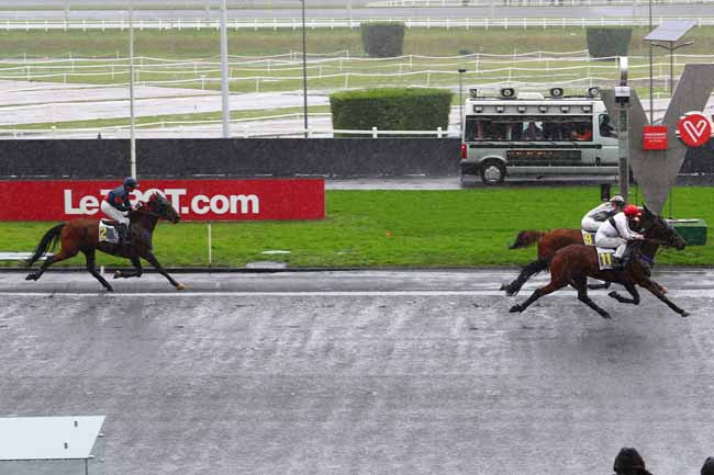 Photo d'arrivée de la course pmu PRIX DE MONTFORT à PARIS-VINCENNES le Lundi 22 janvier 2018