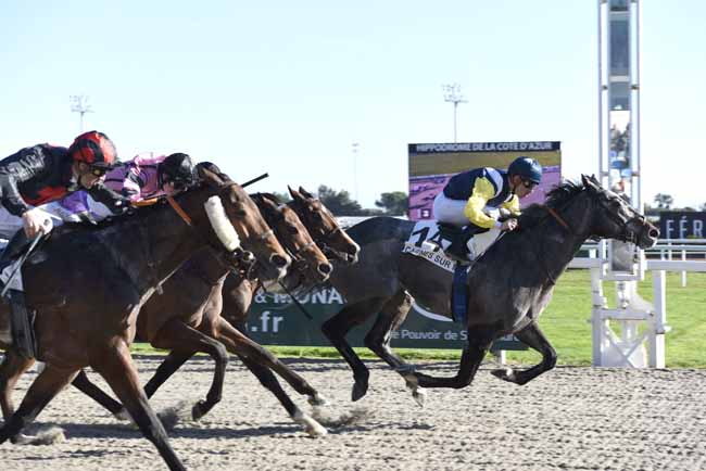 Photo d'arrivée de la course pmu PRIX DE MARSEILLE à CAGNES-SUR-MER le Mardi 23 janvier 2018