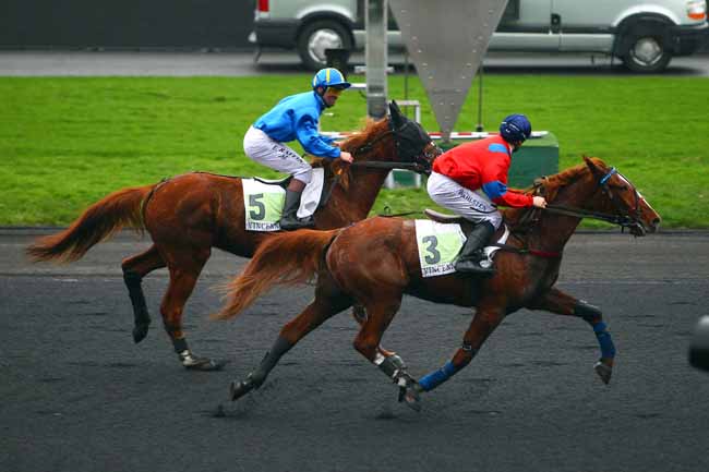 Photo d'arrivée de la course pmu PRIX DE CHATEAUROUX à PARIS-VINCENNES le Mardi 23 janvier 2018