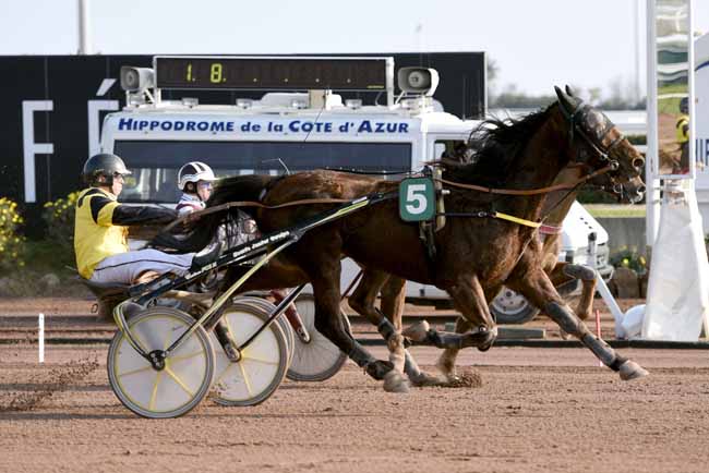 Photo d'arrivée de la course pmu PRIX TIGRE ROYAL à CAGNES-SUR-MER le Mercredi 24 janvier 2018