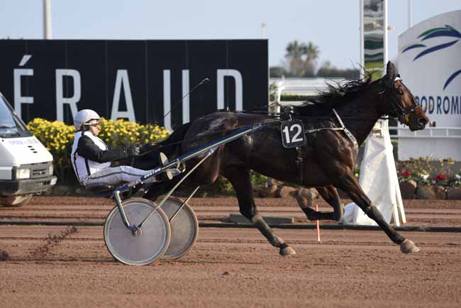Photo d'arrivée de la course pmu PRIX HENRI ESTABLE à CAGNES-SUR-MER le Mercredi 24 janvier 2018