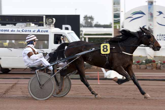 Photo d'arrivée de la course pmu PRIX HOUSTON LAUKKO à CAGNES-SUR-MER le Mercredi 24 janvier 2018