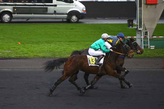 Photo d'arrivée de la course pmu PRIX DE VIENNE-KRIEAU à PARIS-VINCENNES le Jeudi 25 janvier 2018