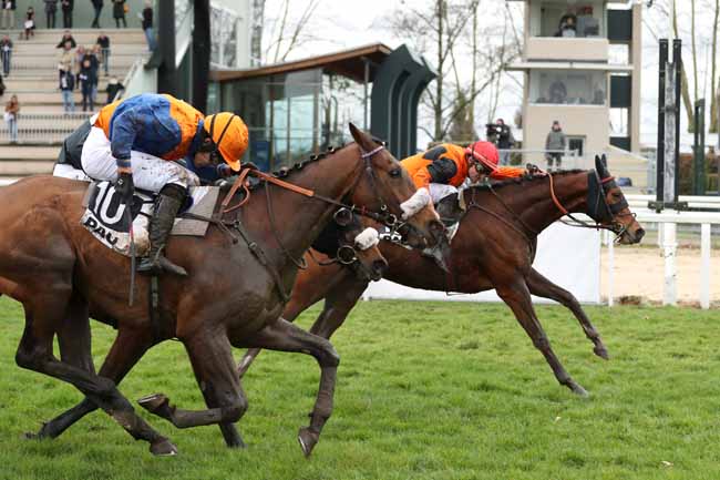 Photo d'arrivée de la course pmu PRIX RENE CRAMAIL à PAU le Vendredi 26 janvier 2018