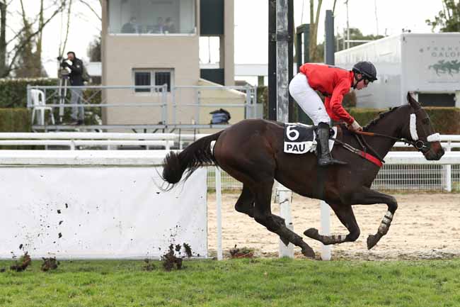 Photo d'arrivée de la course pmu PRIX HARRY LA MONTAGNE à PAU le Vendredi 26 janvier 2018
