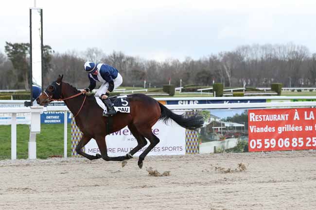Photo d'arrivée de la course pmu PRIX D'ARCANGUES à PAU le Vendredi 26 janvier 2018