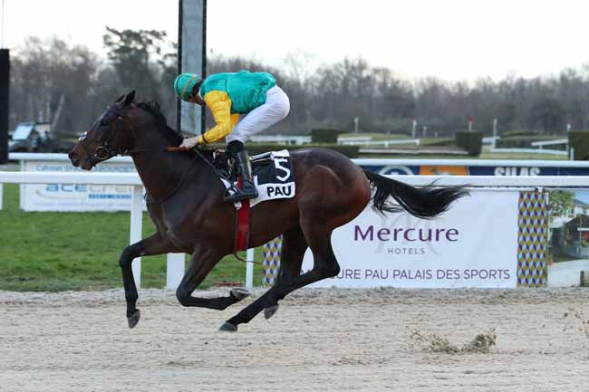 Photo d'arrivée de la course pmu PRIX D'ARAUJUZON à PAU le Vendredi 26 janvier 2018