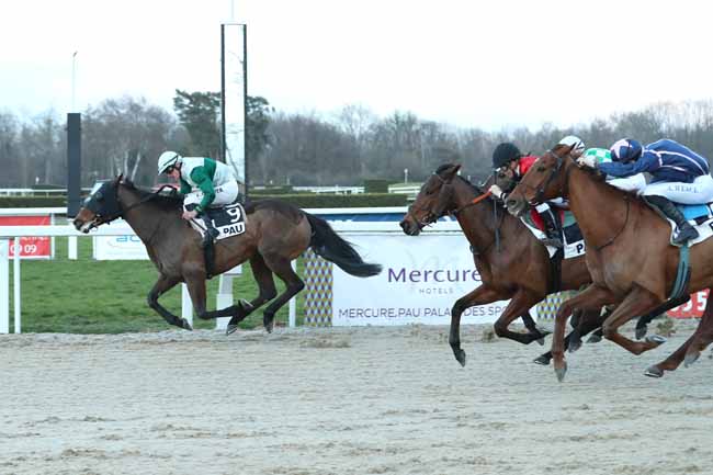 Photo d'arrivée de la course pmu PRIX DE LIVRON à PAU le Vendredi 26 janvier 2018