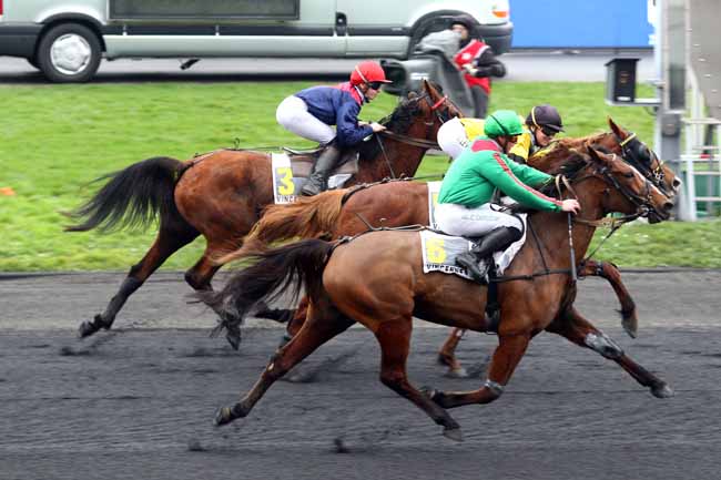 Photo d'arrivée de la course pmu PRIX CAMILLE BLAISOT à PARIS-VINCENNES le Dimanche 28 janvier 2018