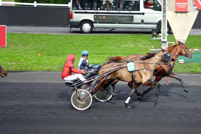 Photo d'arrivée de la course pmu PRIX D'YVETOT à PARIS-VINCENNES le Lundi 29 janvier 2018