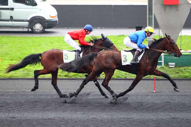 Photo d'arrivée de la course pmu PRIX DE CHOLET à PARIS-VINCENNES le Mardi 30 janvier 2018