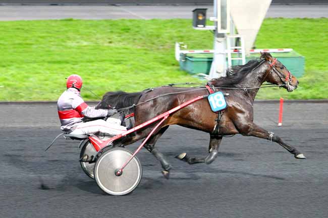 Photo d'arrivée de la course pmu PRIX DE SARLAT à PARIS-VINCENNES le Mardi 30 janvier 2018