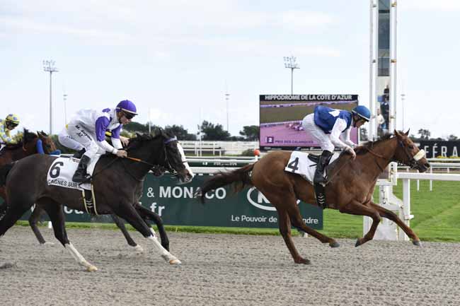 Photo d'arrivée de la course pmu PRIX DES CALANQUES à CAGNES-SUR-MER le Mercredi 31 janvier 2018