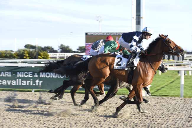 Photo d'arrivée de la course pmu PRIX ADOLPHE ROSSIO à CAGNES-SUR-MER le Mercredi 31 janvier 2018