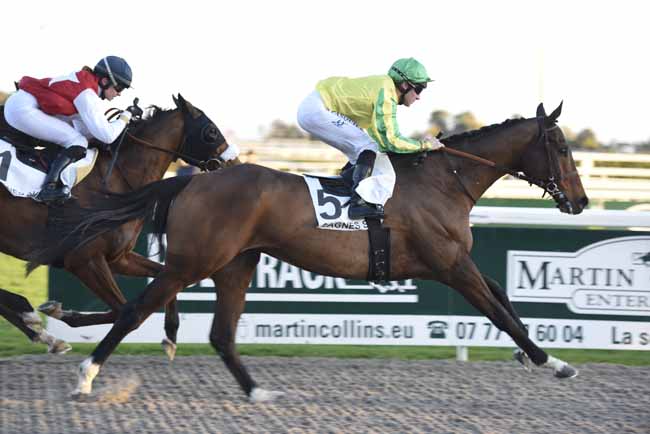 Photo d'arrivée de la course pmu PRIX DES HORTENSIAS à CAGNES-SUR-MER le Mercredi 31 janvier 2018