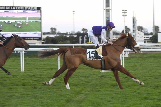 Photo d'arrivée de la course pmu PRIX DE CIMIEZ à CAGNES-SUR-MER le Mercredi 31 janvier 2018