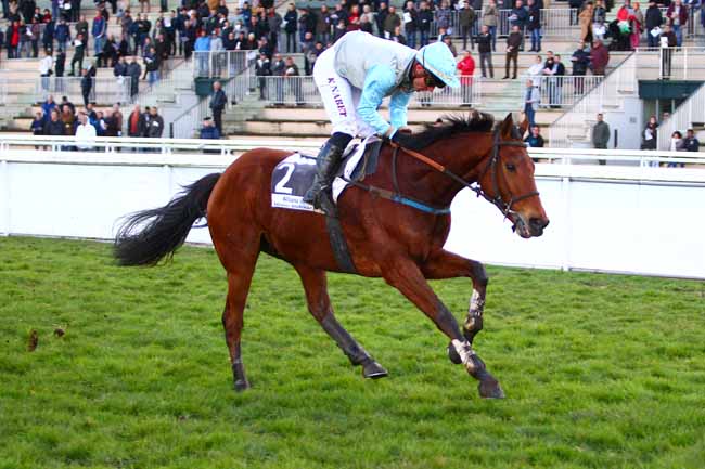 Photo d'arrivée de la course pmu PRIX ANNIE HUTTON à PAU le Vendredi 2 février 2018