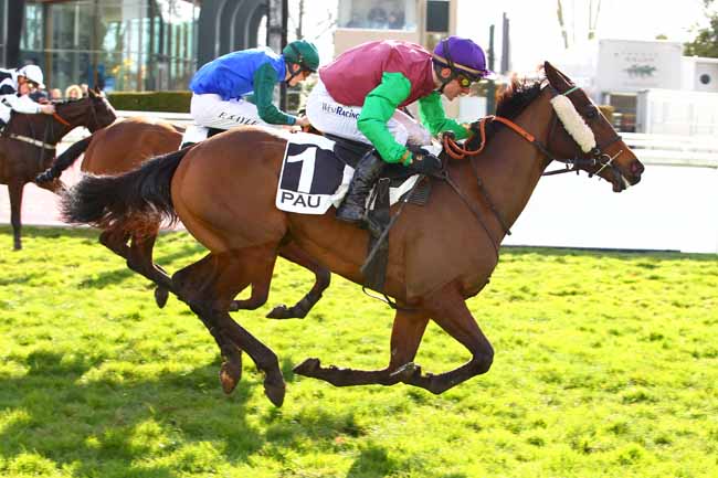 Photo d'arrivée de la course pmu PRIX CAMILLE DUBOSCQ à PAU le Vendredi 2 février 2018
