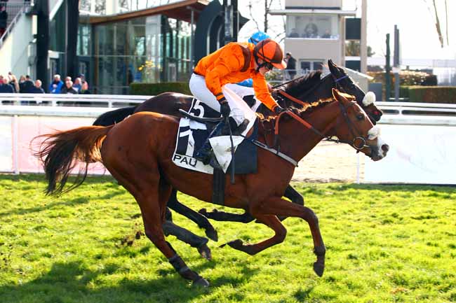 Photo d'arrivée de la course pmu PRIX CHARLES DE VANSSAY à PAU le Vendredi 2 février 2018