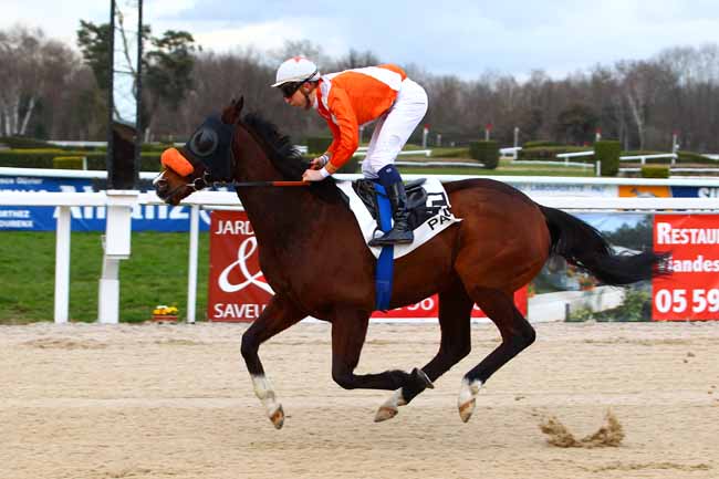 Photo d'arrivée de la course pmu PRIX D'UZEIN à PAU le Vendredi 2 février 2018