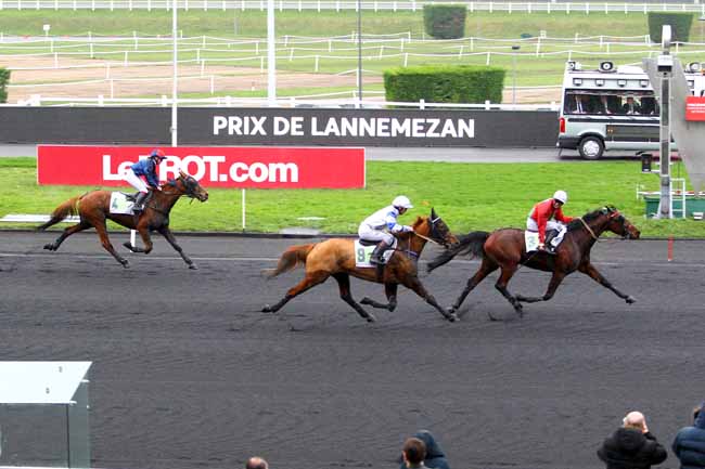 Photo d'arrivée de la course pmu PRIX DE LANNEMEZAN à PARIS-VINCENNES le Samedi 3 février 2018