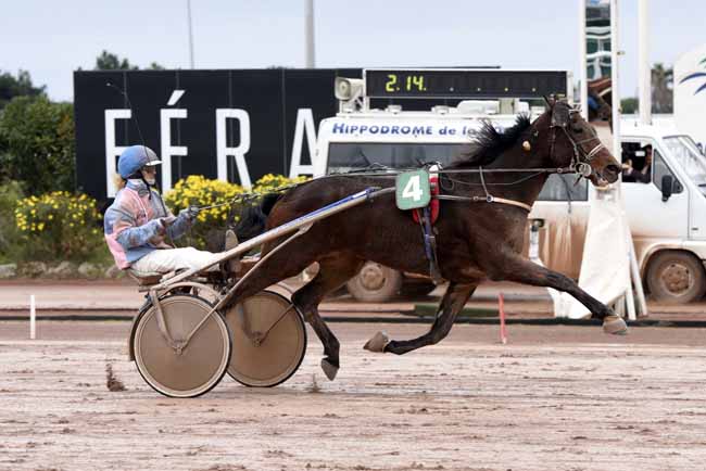 Photo d'arrivée de la course pmu PRIX DES ROSES à CAGNES-SUR-MER le Mardi 6 février 2018